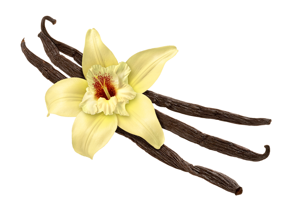 Vanilla Bean and Flower 